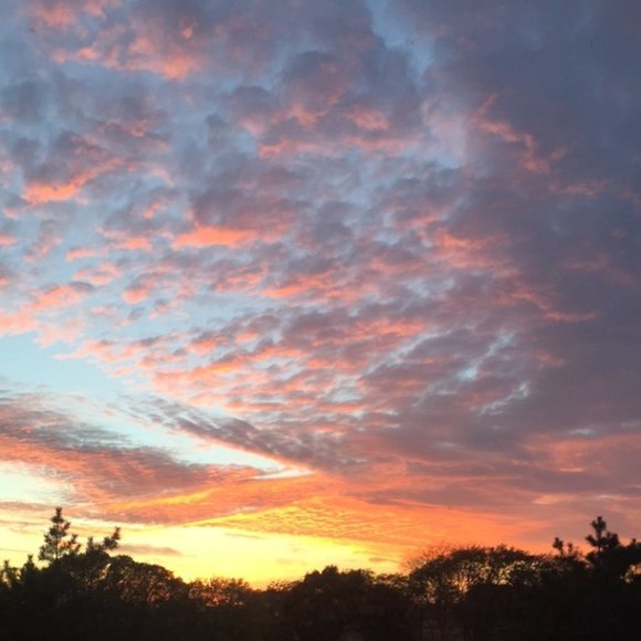 Meet your Posher, Cass - Picture 1 of 1